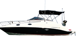 картинка для анонса Regal 2665