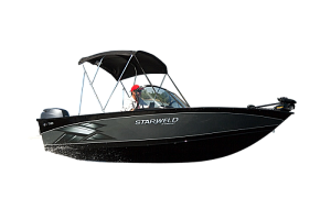 картинка для анонса Starweld 19