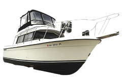 картинка для анонса CARVER 28