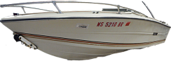 картинка для анонса Stingray 175