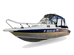картинка для анонса Silver Shark