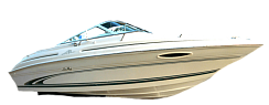 картинка для анонса Sea Ray 215