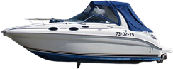 картинка для анонса Sea Ray 275